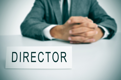 what are powers of directors in company law ?